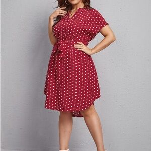 Polka Dot Red Dress